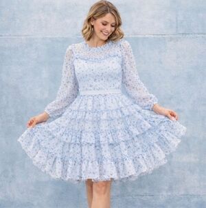 RARE-Ivy City Co. Vintage Blue Floral Ruffle Flirty Feminine Long Sleeve Dress